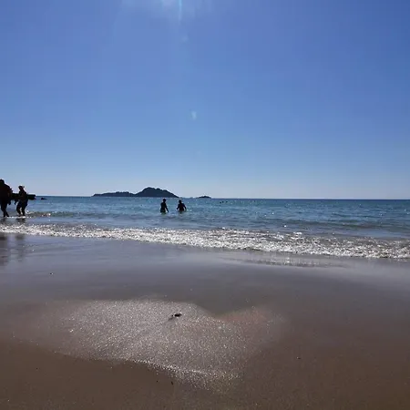 Lefkimmiatis Corfu * Afión