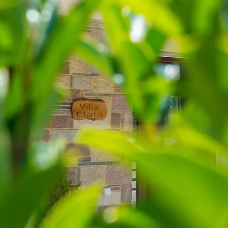 Lefkimmiatis Corfu Villa Afión